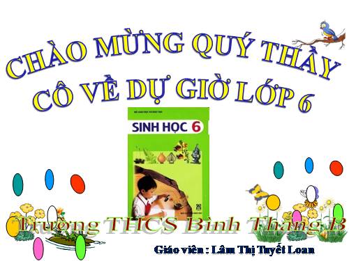 Bài 13. Cấu tạo ngoài của thân