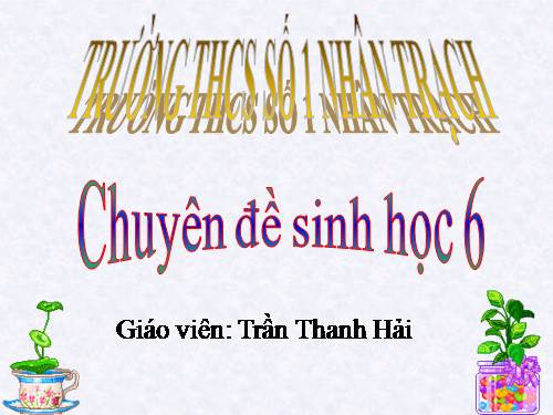 Bài 15. Cấu tạo trong của thân non