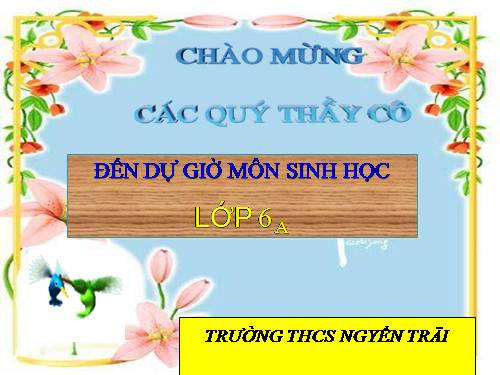 Bài 18. Biến dạng của thân