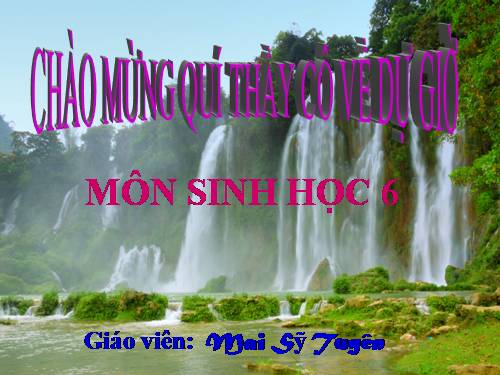 Bài 49. Bảo vệ sự đa dạng của thực vật