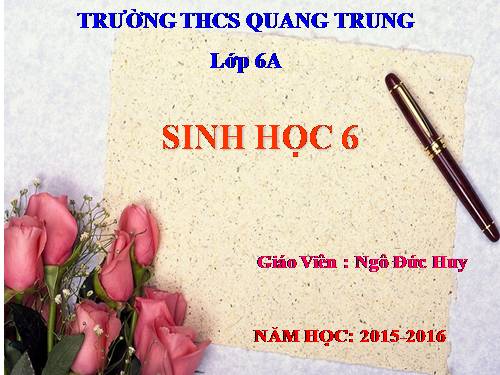 Bài 47. Thực vật bảo vệ đất và nguồn nước