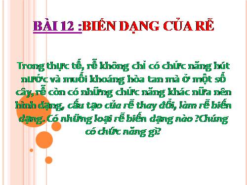 Bài 12. Biến dạng của rễ