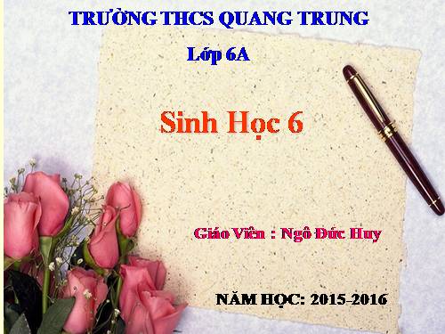 Bài 39. Quyết - Cây dương xỉ