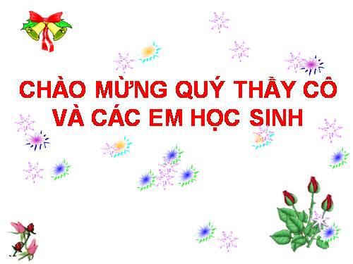 Bài 15. Cấu tạo trong của thân non