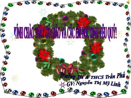 Bài 20. Cấu tạo trong của phiến lá