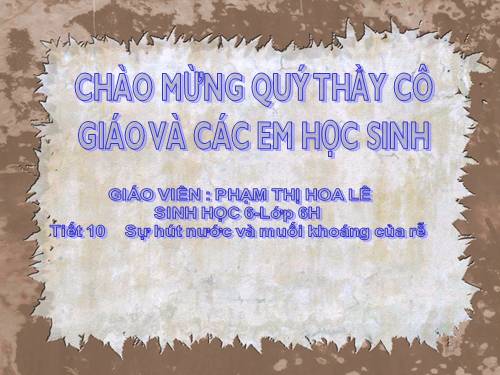 Bài 11. Sự hút nước và muối khoáng của rễ