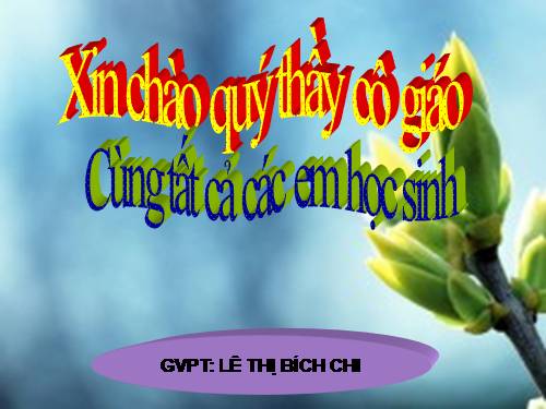Bài 9. Các loại rễ, các miền của rễ