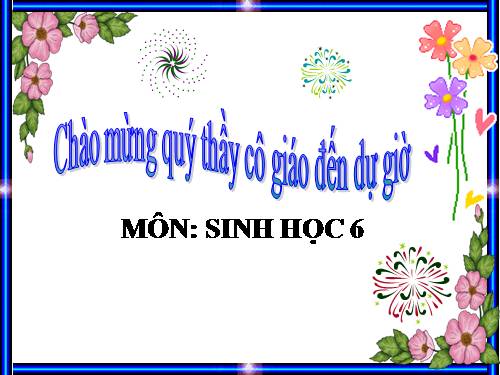 Bài 19. Đặc điểm bên ngoài của lá