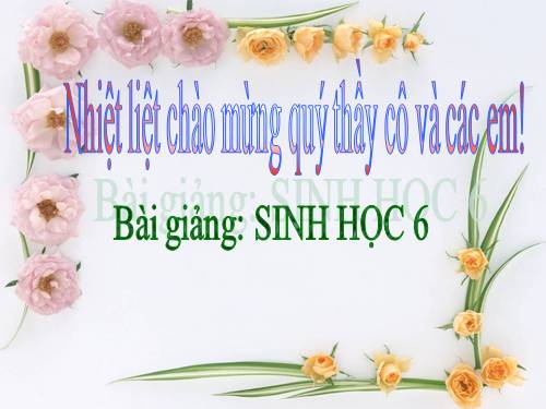 Bài 8. Sự lớn lên và phân chia của tế bào