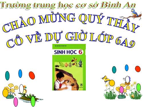 Bài 13. Cấu tạo ngoài của thân