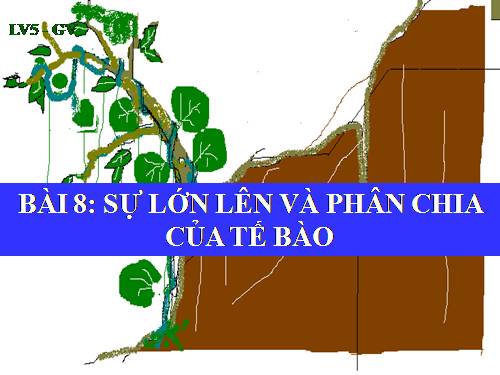 Bài 8. Sự lớn lên và phân chia của tế bào