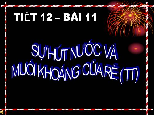 Bài 11. Sự hút nước và muối khoáng của rễ