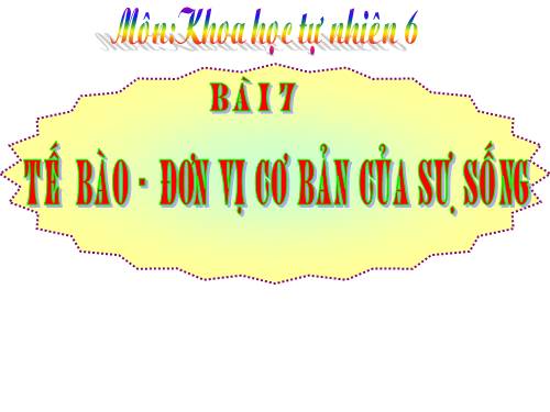 Bài 7. Cấu tạo tế bào thực vật