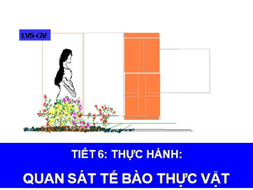 Bài 6. Quan sát tế bào thực vật