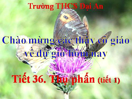 Bài 30. Thụ phấn