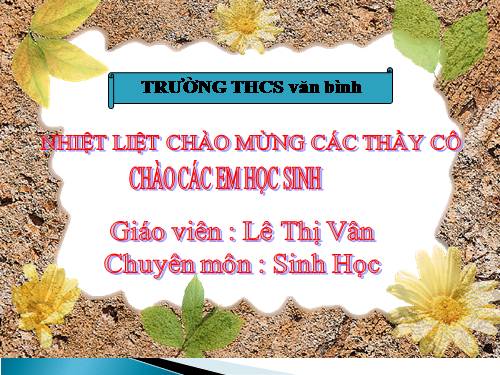 Bài 11. Sự hút nước và muối khoáng của rễ