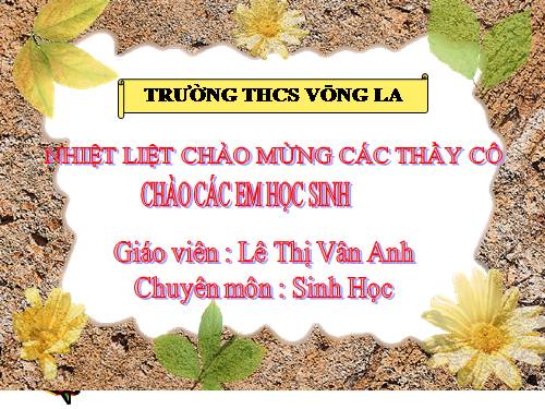 Bài 11. Sự hút nước và muối khoáng của rễ