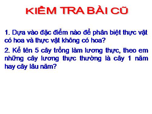 Bài 5. Kính lúp, kính hiển vi và cách sử dụng