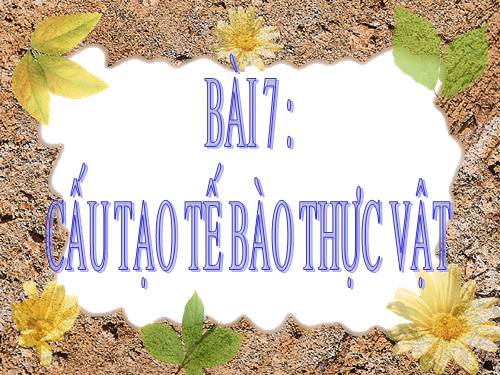 Bài 7. Cấu tạo tế bào thực vật