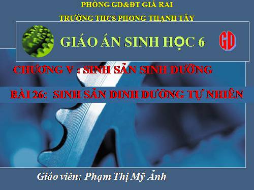 Bài 26. Sinh sản sinh dưỡng tự nhiên