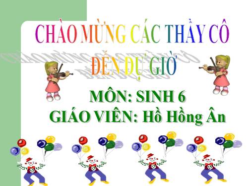 Bài 34. Phát tán của quả và hạt