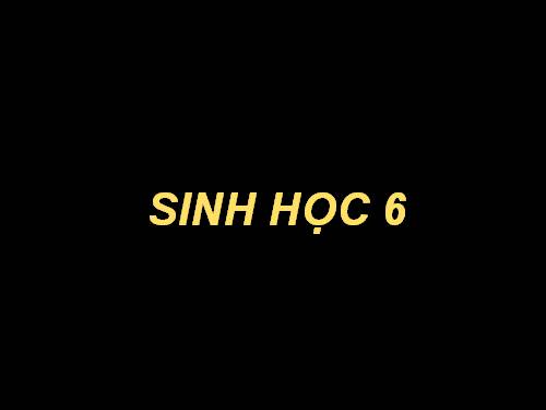 Bài 1. Đặc điểm của cơ thế sống