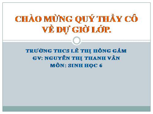 Bài 12. Biến dạng của rễ