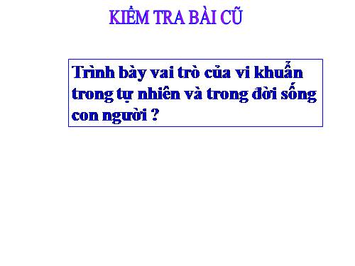 Bài 51. Nấm