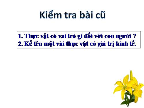 Bài 49. Bảo vệ sự đa dạng của thực vật