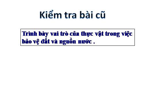 Bài 48. Vai trò của thực vật đối với động vật và đối với đời sống con người