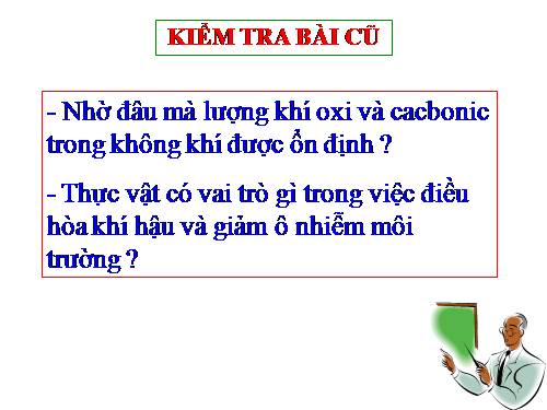 Bài 47. Thực vật bảo vệ đất và nguồn nước