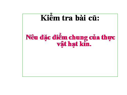 Bài 42. Lớp Hai lá mầm và lớp Một lá mầm