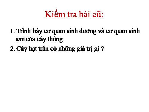 Bài 41. Hạt kín - Đặc điểm của thực vật Hạt kín