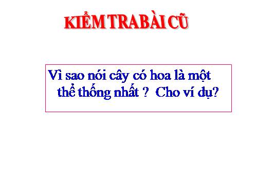 Bài 36. Tổng kết về cây có hoa