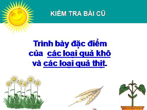 Bài 33. Hạt và các bộ phận của hạt