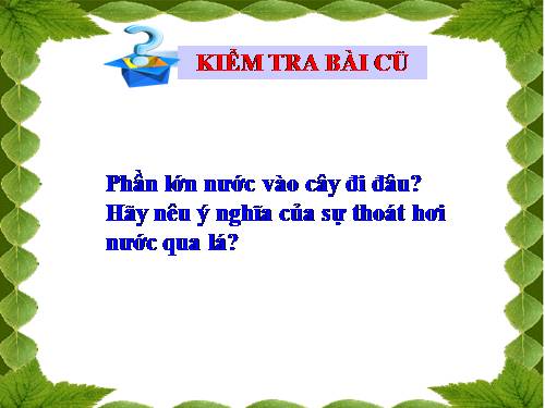 Bài 25. Biến dạng của lá