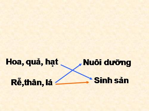 Bài 26. Sinh sản sinh dưỡng tự nhiên