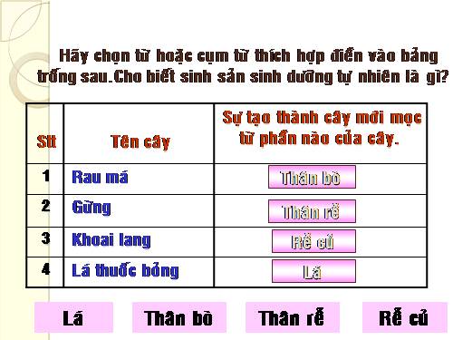 Bài 27. Sinh sản sinh dưỡng do người