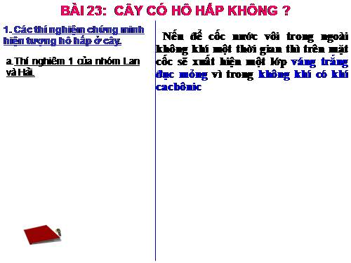 Bài 23. Cây có hô hấp không?