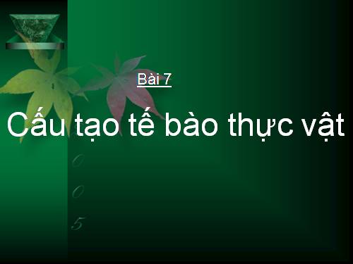 Bài 7. Cấu tạo tế bào thực vật