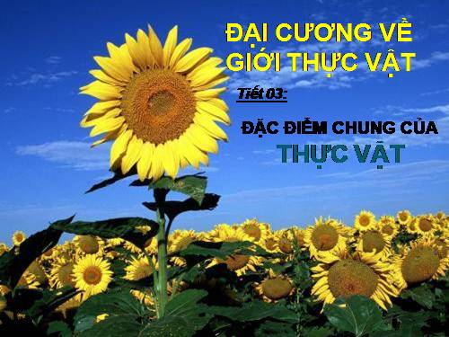 Bài 3. Đặc điểm chung của thực vật