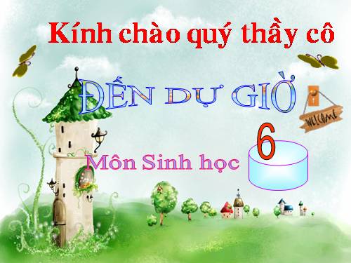 Bài 46. Thực vật góp phần điều hoà khí hậu