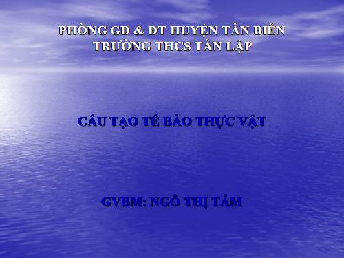 Bài 7. Cấu tạo tế bào thực vật