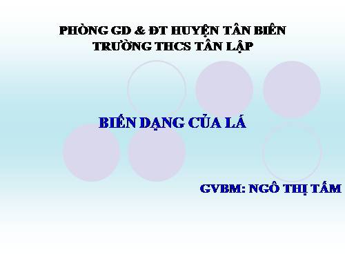 Bài 25. Biến dạng của lá