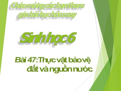 Bài 47. Thực vật bảo vệ đất và nguồn nước