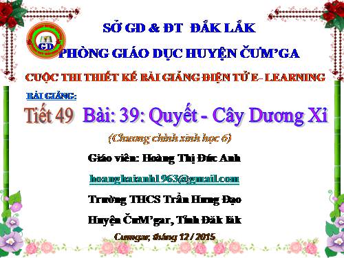 Bài 39. Quyết - Cây dương xỉ