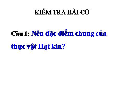 Bài 42. Lớp Hai lá mầm và lớp Một lá mầm