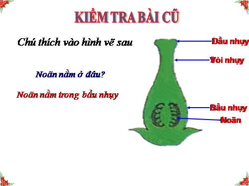 Bài 31. Thụ tinh, kết quả và tạo hạt