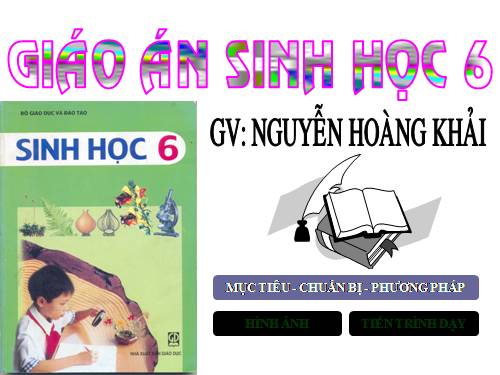 Bài 48. Vai trò của thực vật đối với động vật và đối với đời sống con người
