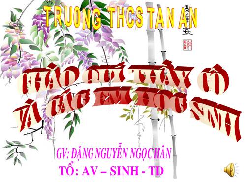 Bài 16. Thân to ra do đâu ?